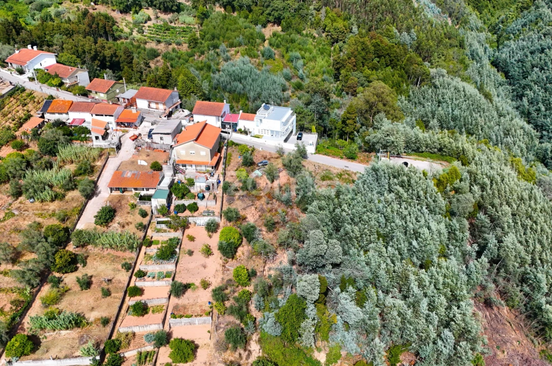 Terreno para Venda em Santo Antonio dos Olivais Foto 17