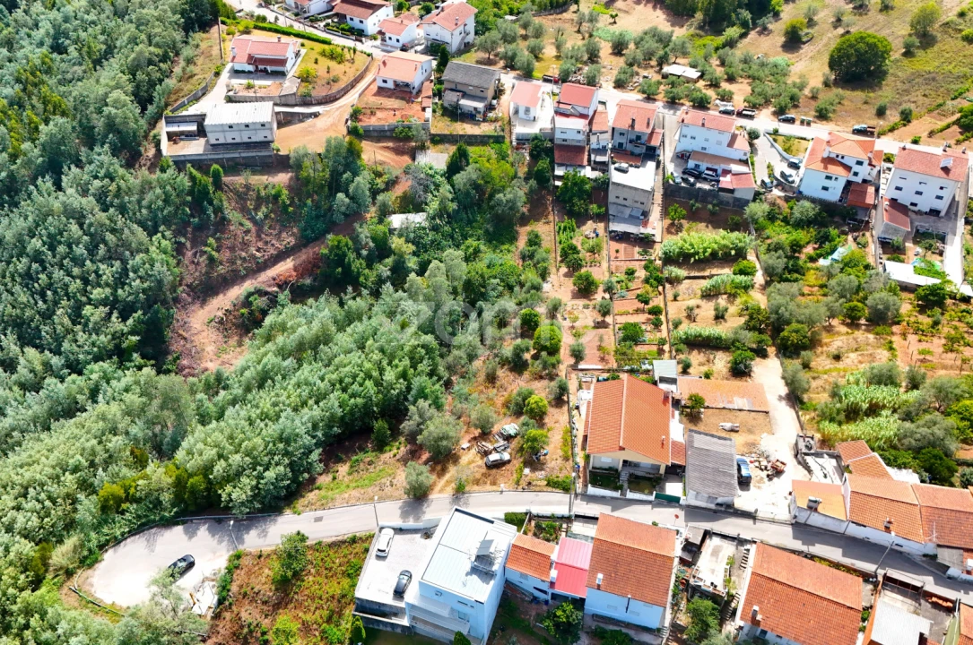 Terreno para Venda em Santo Antonio dos Olivais Foto 11