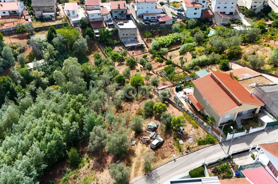 Terreno para Venda em Santo Antonio dos Olivais Foto 12