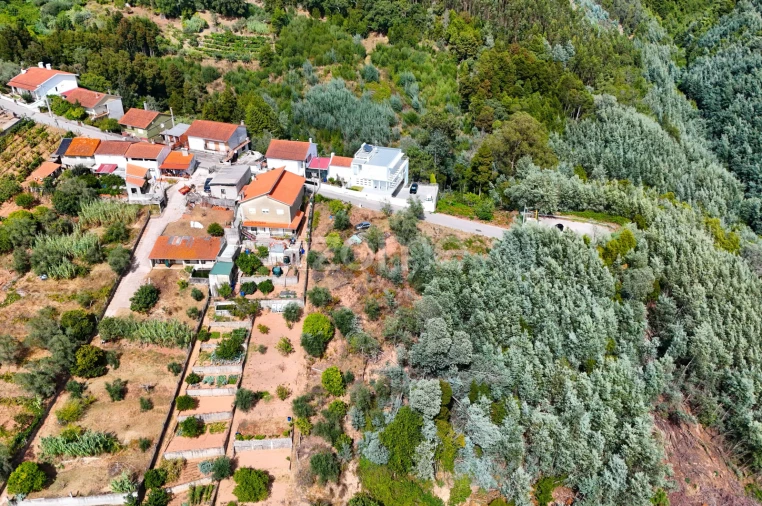Terreno para Venda em Santo Antonio dos Olivais Foto 17