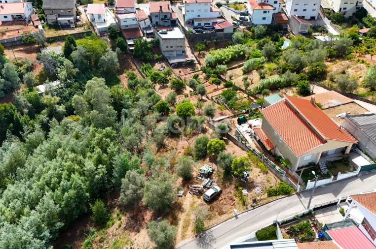 Terreno para Venda em Santo Antonio dos Olivais Foto 12