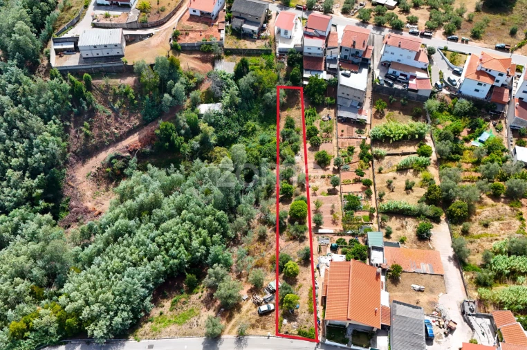 Terreno para Venda em Santo Antonio dos Olivais Foto 13