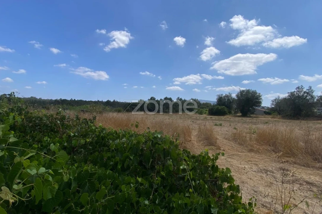 Terreno para Venda em Mealhada, Ventosa do Bairro e Antes Foto 7