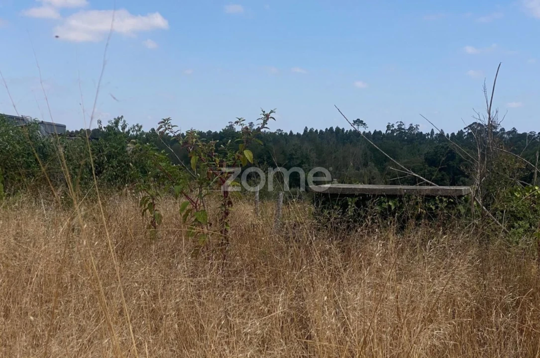 Terreno para Venda em Mealhada, Ventosa do Bairro e Antes Foto 3