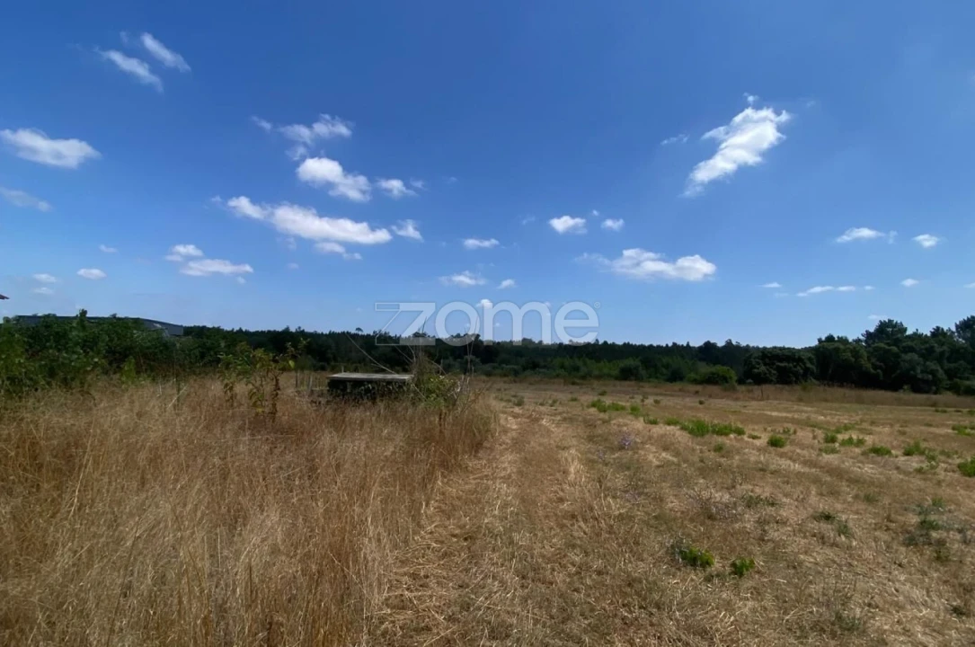 Terreno para Venda em Mealhada, Ventosa do Bairro e Antes Foto 4