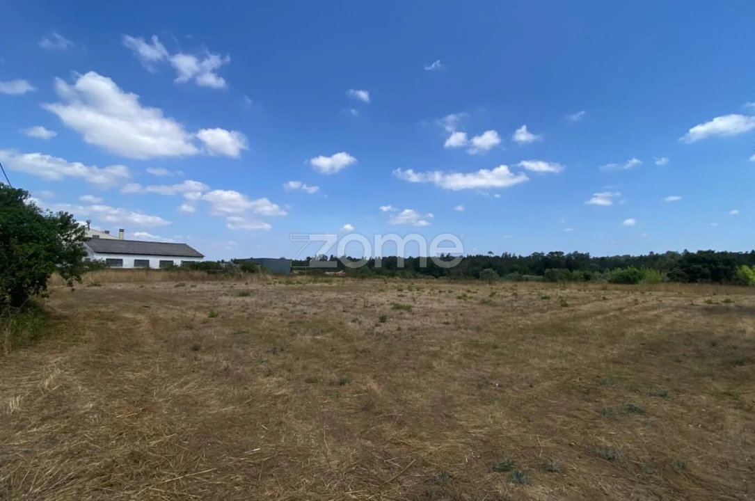 Terreno para Venda em Mealhada, Ventosa do Bairro e Antes Foto 5