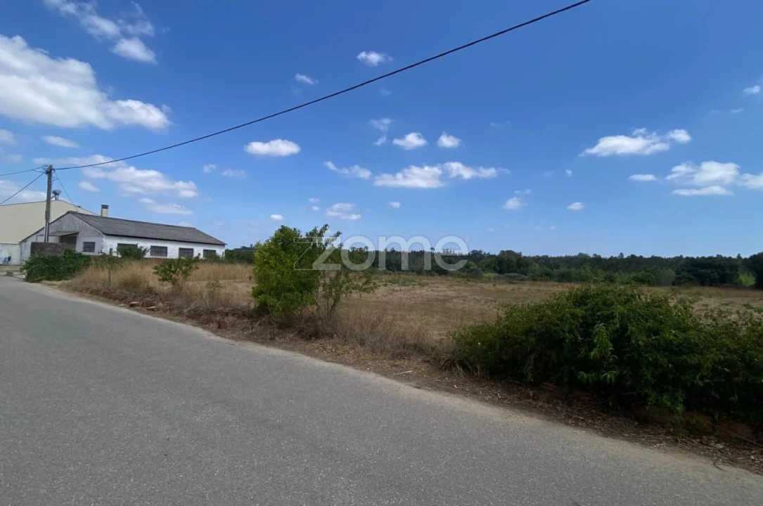 Terreno para Venda em Mealhada, Ventosa do Bairro e Antes Foto 9
