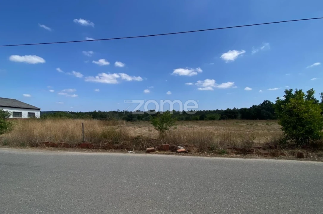 Terreno para Venda em Mealhada, Ventosa do Bairro e Antes Foto 1