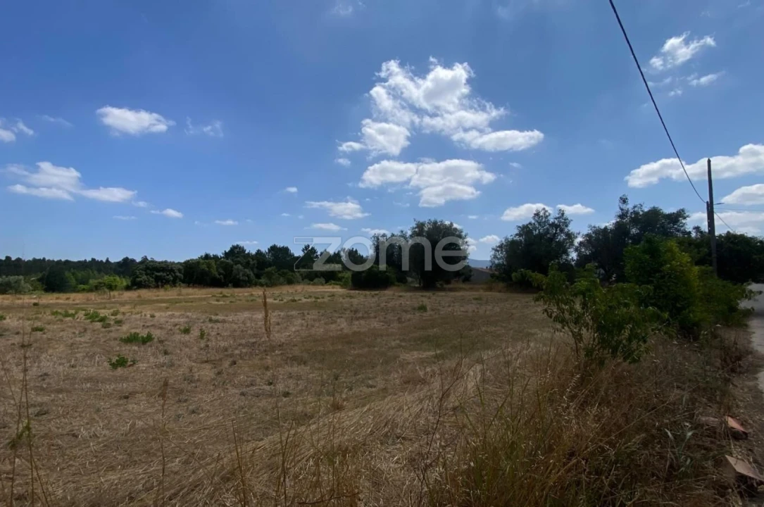 Terreno para Venda em Mealhada, Ventosa do Bairro e Antes Foto 12