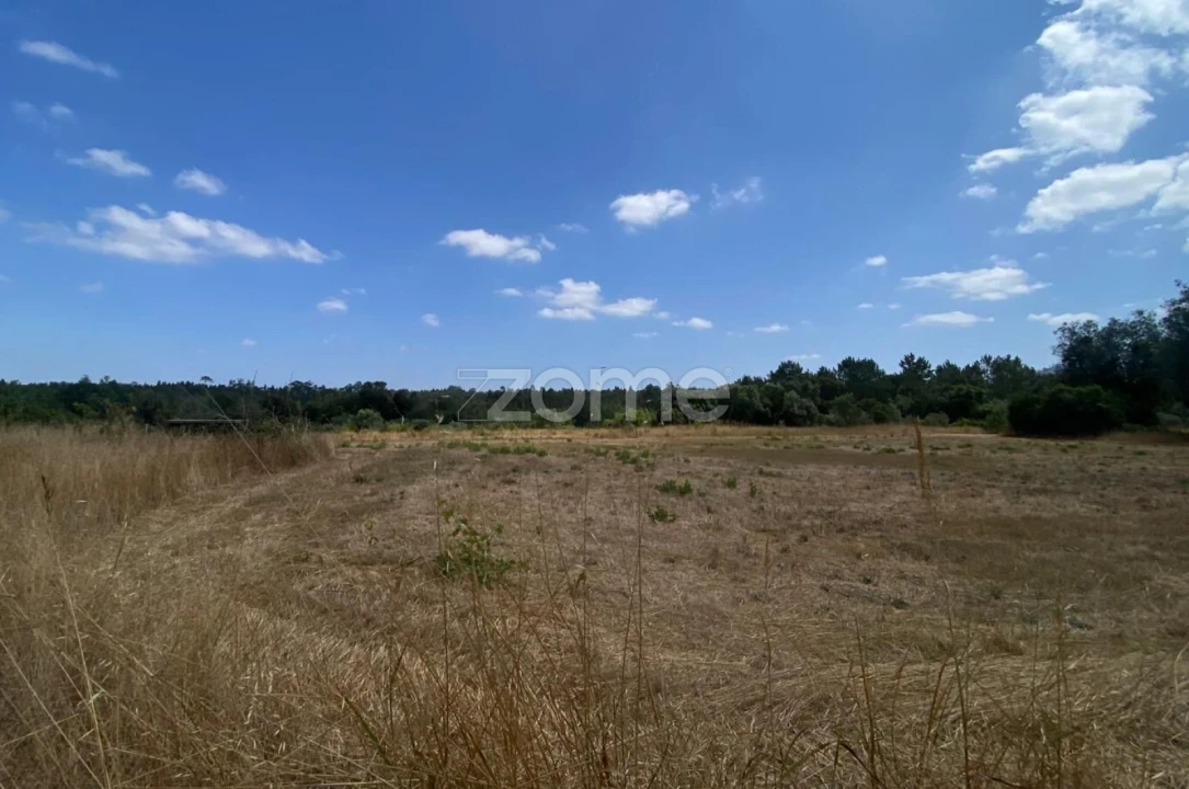Terreno para Venda em Mealhada, Ventosa do Bairro e Antes Foto 14
