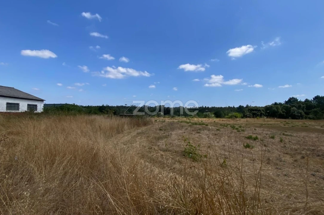 Terreno para Venda em Mealhada, Ventosa do Bairro e Antes Foto 15