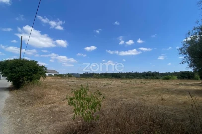 Terreno para Venda em Mealhada, Ventosa do Bairro e Antes