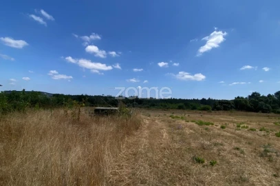 Terreno para Venda em Mealhada, Ventosa do Bairro e Antes