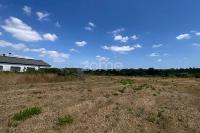 Terreno para Venda em Mealhada, Ventosa do Bairro e Antes