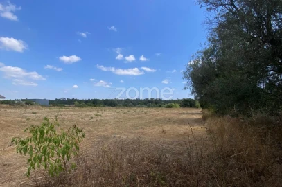 Terreno para Venda em Mealhada, Ventosa do Bairro e Antes