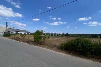 Terreno para Venda em Mealhada, Ventosa do Bairro e Antes