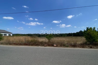 Terreno para Venda em Mealhada, Ventosa do Bairro e Antes