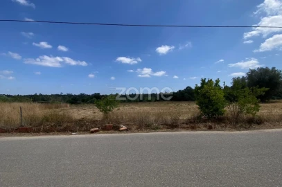 Terreno para Venda em Mealhada, Ventosa do Bairro e Antes