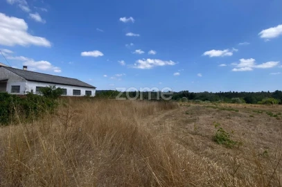 Terreno para Venda em Mealhada, Ventosa do Bairro e Antes