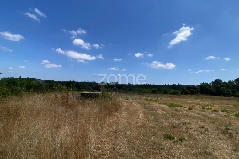 Terreno para Venda em Mealhada, Ventosa do Bairro e Antes Foto 4