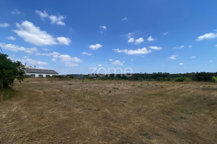 Terreno para Venda em Mealhada, Ventosa do Bairro e Antes Foto 5