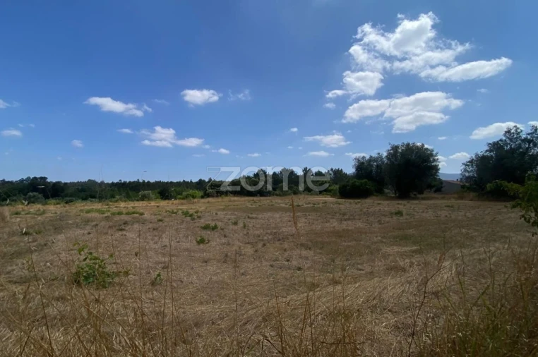 Terreno para Venda em Mealhada, Ventosa do Bairro e Antes Foto 13