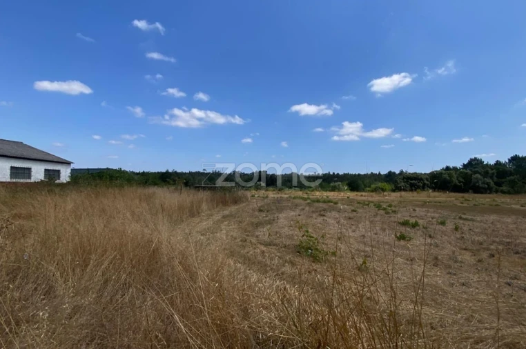 Terreno para Venda em Mealhada, Ventosa do Bairro e Antes Foto 15