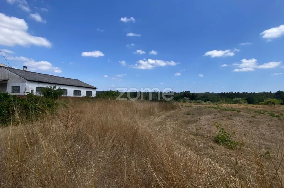 Terreno para Venda em Mealhada, Ventosa do Bairro e Antes Foto 16