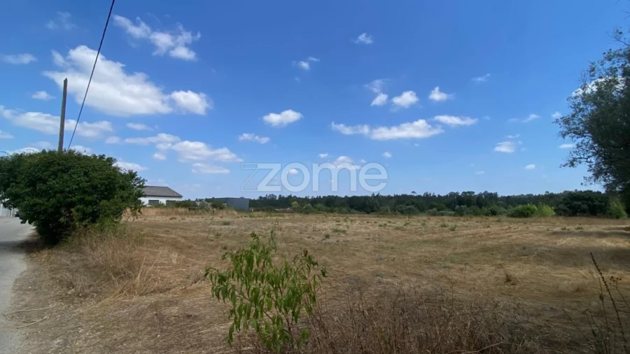 Terreno para Venda em Mealhada, Ventosa do Bairro e Antes