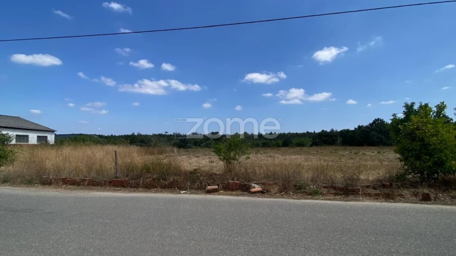 Terreno para Venda em Mealhada, Ventosa do Bairro e Antes
