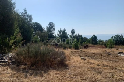 Terreno para Venda em Tavares (Chãs, Várzea e Travanca)