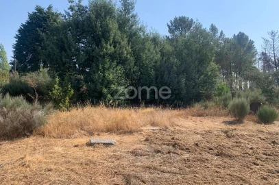 Terreno para Venda em Tavares (Chãs, Várzea e Travanca)