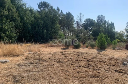 Terreno para Venda em Tavares (Chãs, Várzea e Travanca)