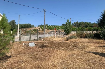 Terreno para Venda em Tavares (Chãs, Várzea e Travanca)