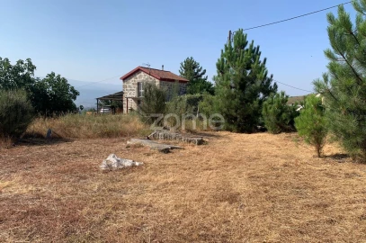 Terreno para Venda em Tavares (Chãs, Várzea e Travanca)