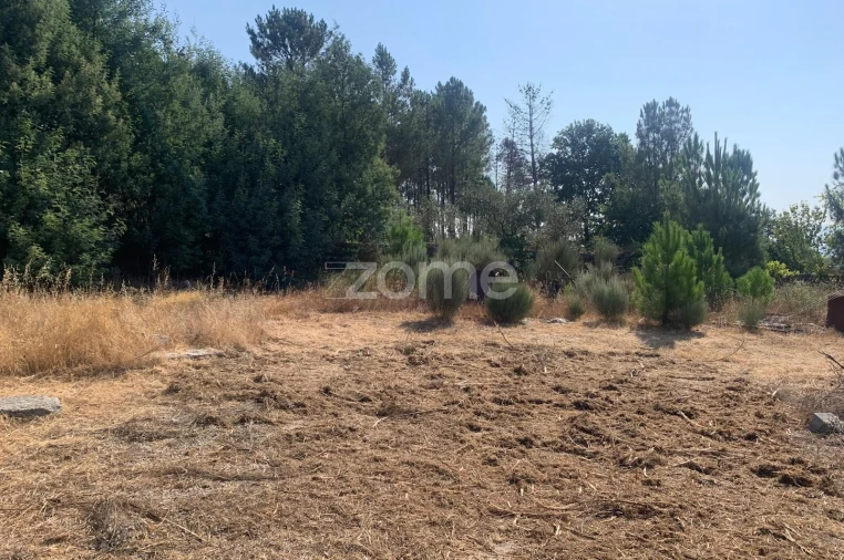 Terreno para Venda em Tavares (Chãs, Várzea e Travanca) Foto 4