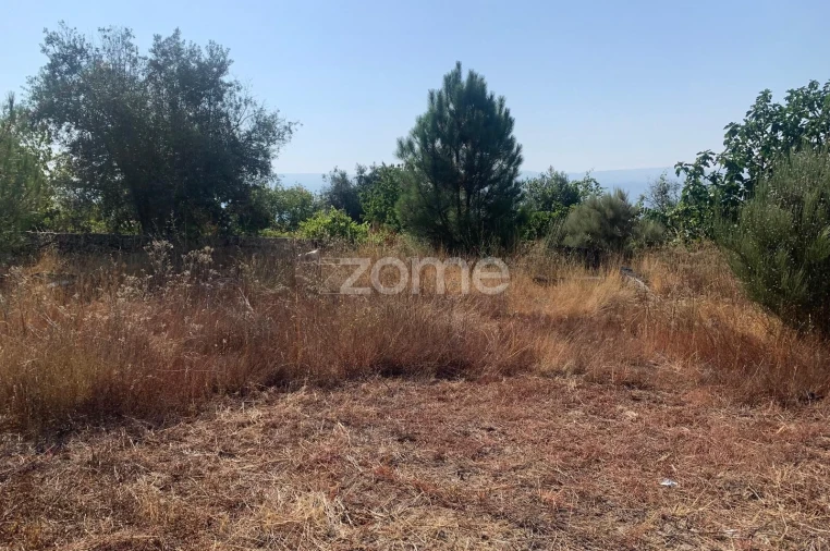 Terreno para Venda em Tavares (Chãs, Várzea e Travanca) Foto 6