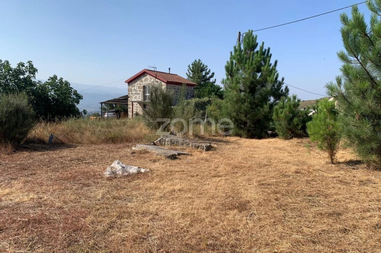 Terreno para Venda em Tavares (Chãs, Várzea e Travanca) Foto 8
