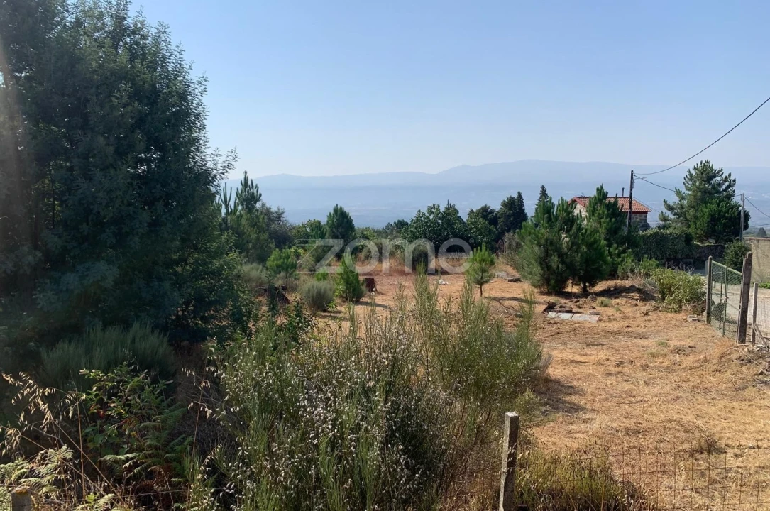 Terreno para Venda em Tavares (Chãs, Várzea e Travanca) Foto 10
