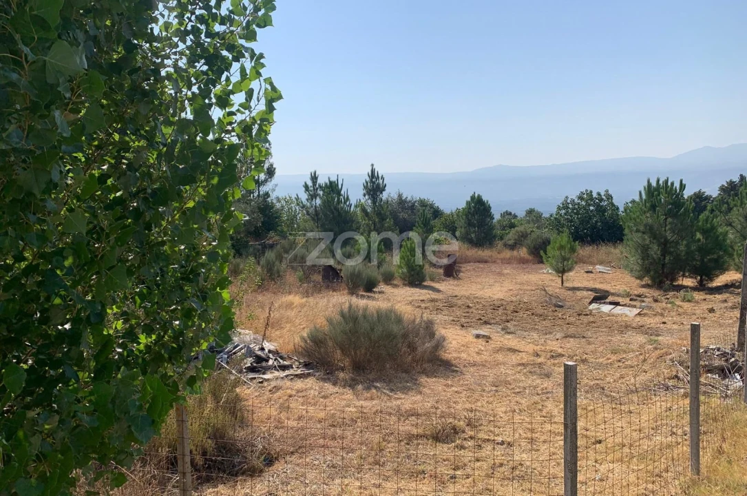 Terreno para Venda em Tavares (Chãs, Várzea e Travanca) Foto 11