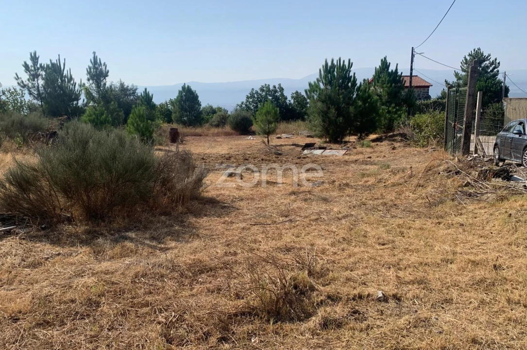 Terreno para Venda em Tavares (Chãs, Várzea e Travanca) Foto 1