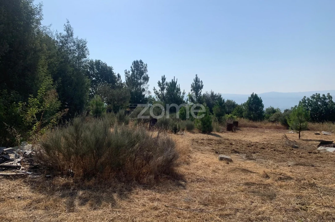Terreno para Venda em Tavares (Chãs, Várzea e Travanca) Foto 2