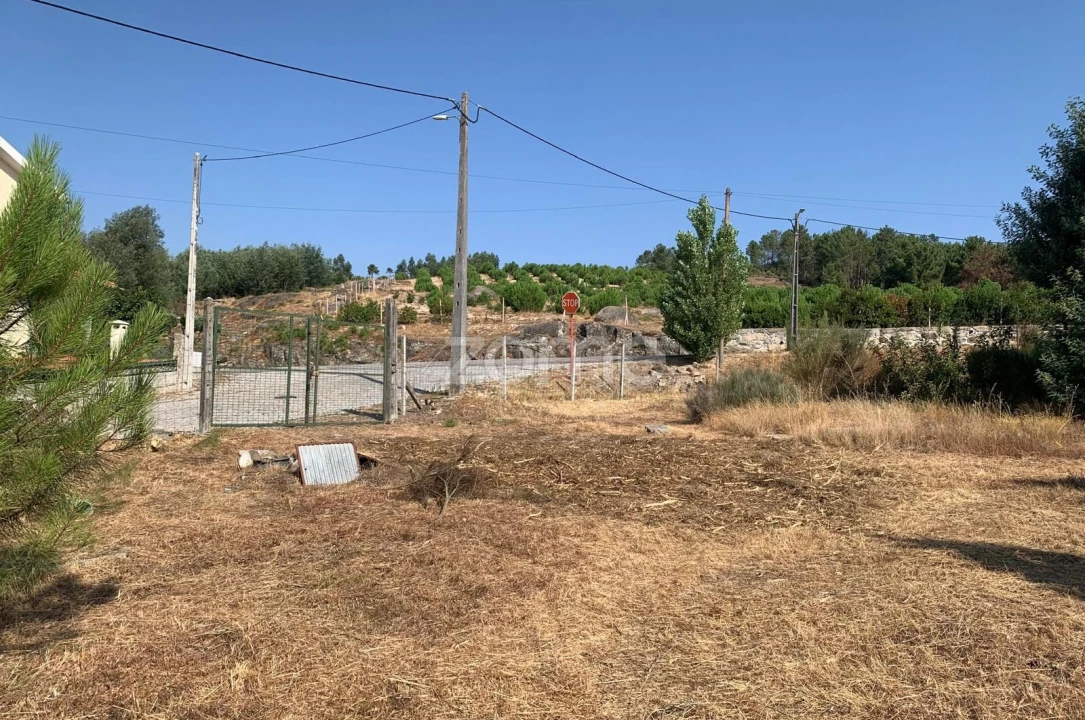 Terreno para Venda em Tavares (Chãs, Várzea e Travanca) Foto 7