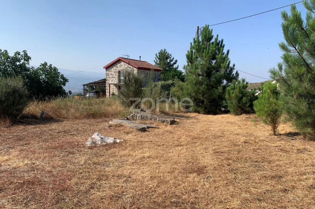 Terreno para Venda em Tavares (Chãs, Várzea e Travanca) Foto 8