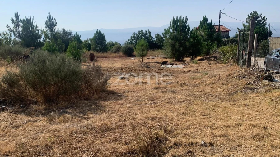 Terreno para Venda em Tavares (Chãs, Várzea e Travanca)