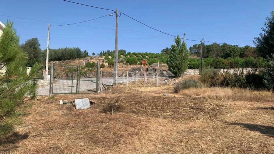 Terreno para Venda em Tavares (Chãs, Várzea e Travanca)