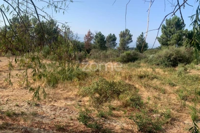Terreno para Venda em Tavares (Chãs, Várzea e Travanca)
