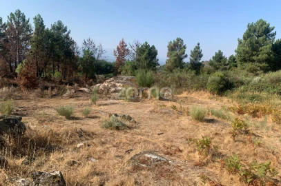 Terreno para Venda em Tavares (Chãs, Várzea e Travanca)
