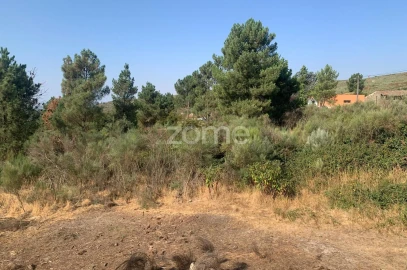 Terreno para Venda em Tavares (Chãs, Várzea e Travanca)