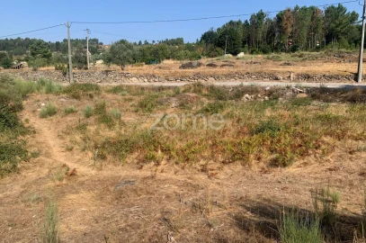 Terreno para Venda em Tavares (Chãs, Várzea e Travanca)